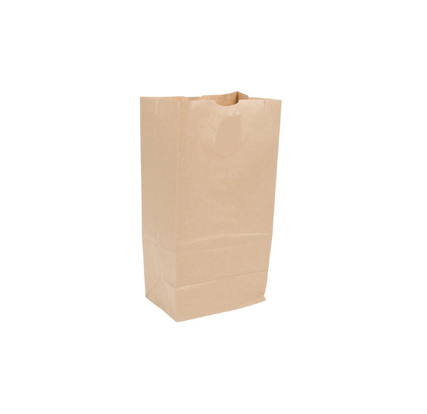 BROWN PAPER BAG #20