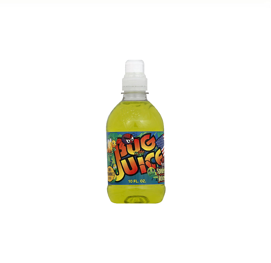 BUG JUICE-24CT - SPIDER