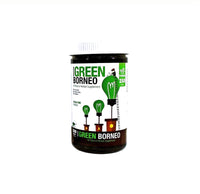 BUMBLE BEE 250G GREEN BORNEO
