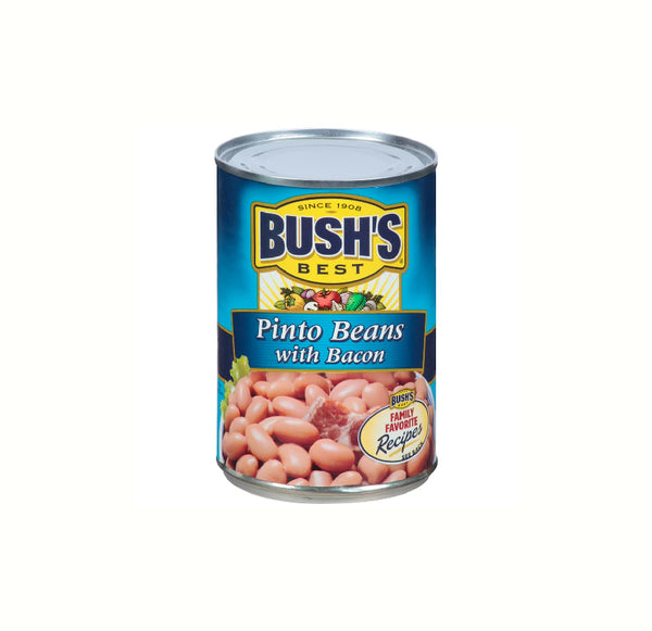 BUSH'S PINTO BEANS 15OZ