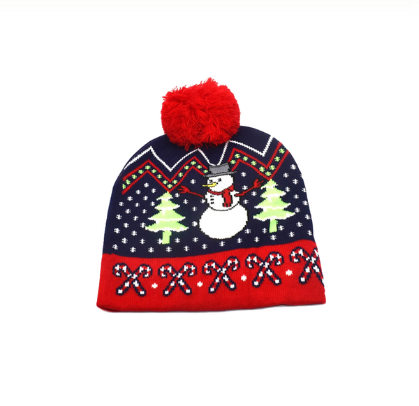 CHRISTMAS  WINTER HAT