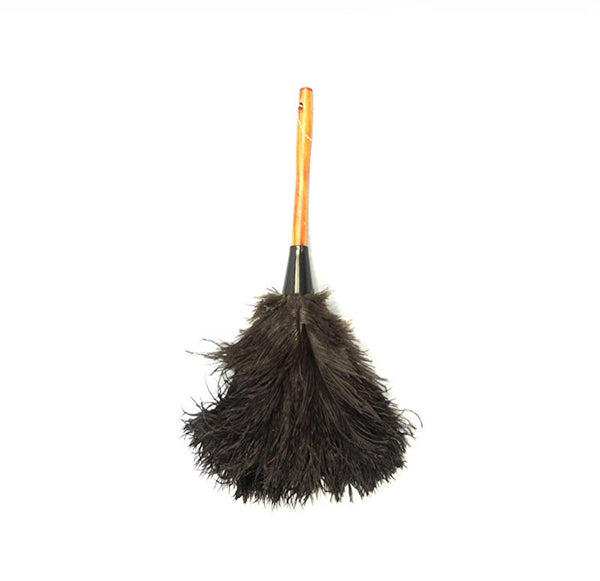DUSTER FEATHER SINGLE