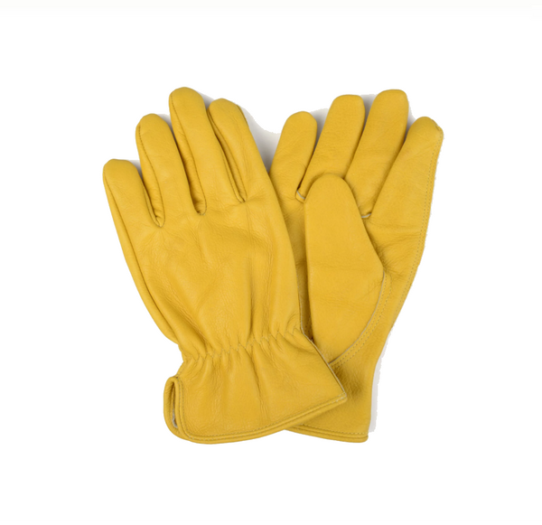 GLOVES USA LEATHER 12CT