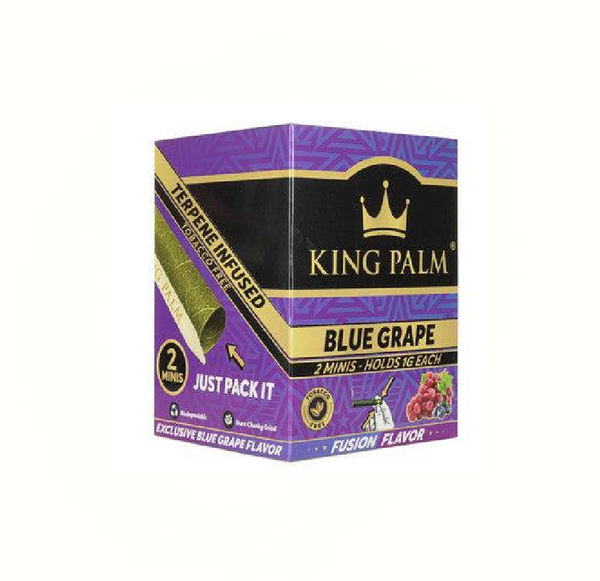 KING PALM MINI BLUEGRAPE2/20PK