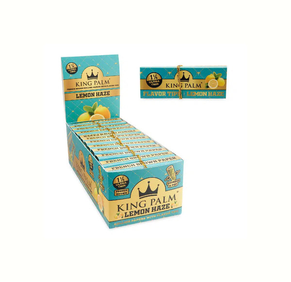 KING PALM P&TIP11/14LEMON24CT