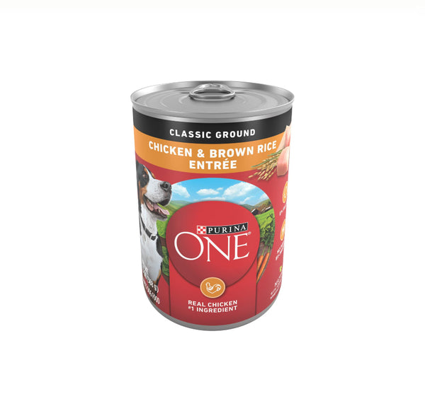 PURINA ONE  DOG FOOD 13OZ