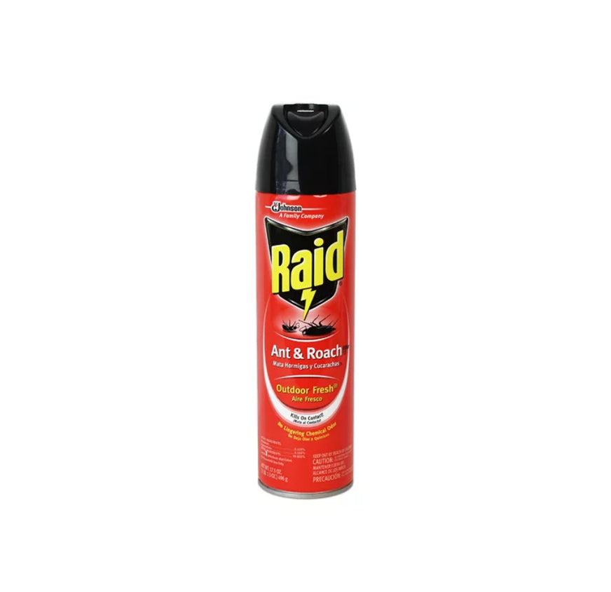 RAID- ANT ROACH 17.5OZ OUTDOOR