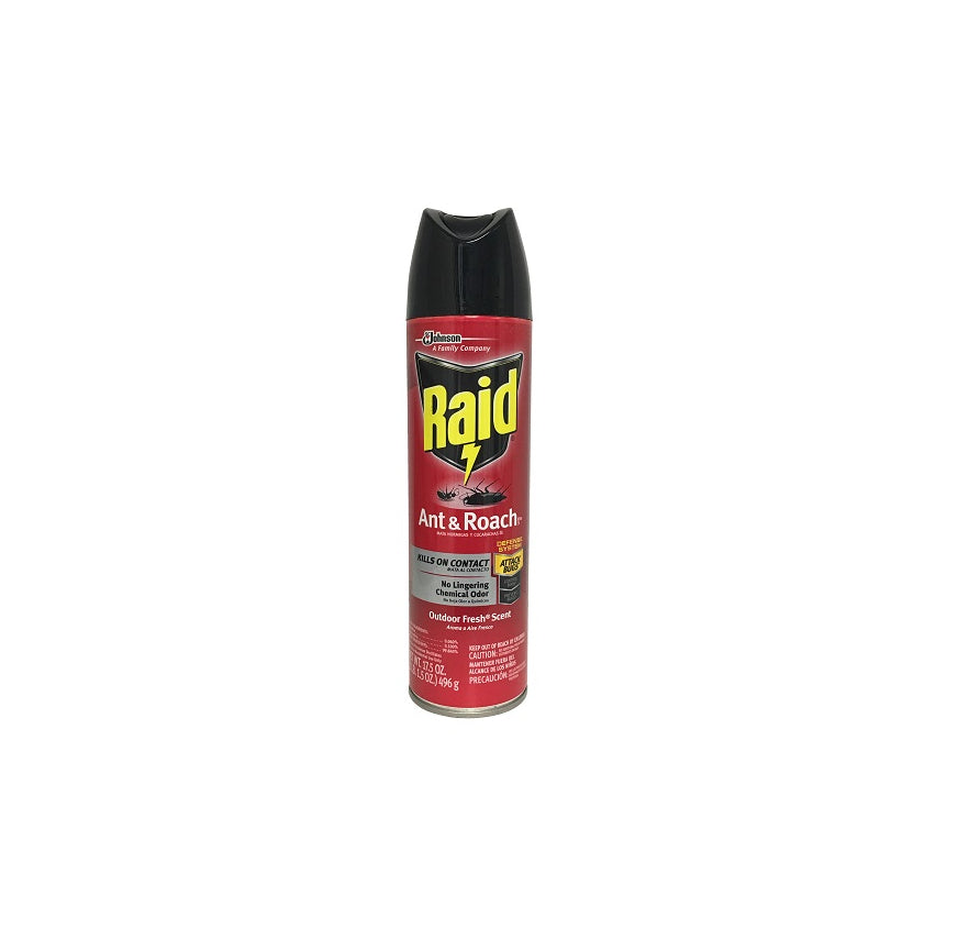 RAID- ANT ROACH  17.5OZ