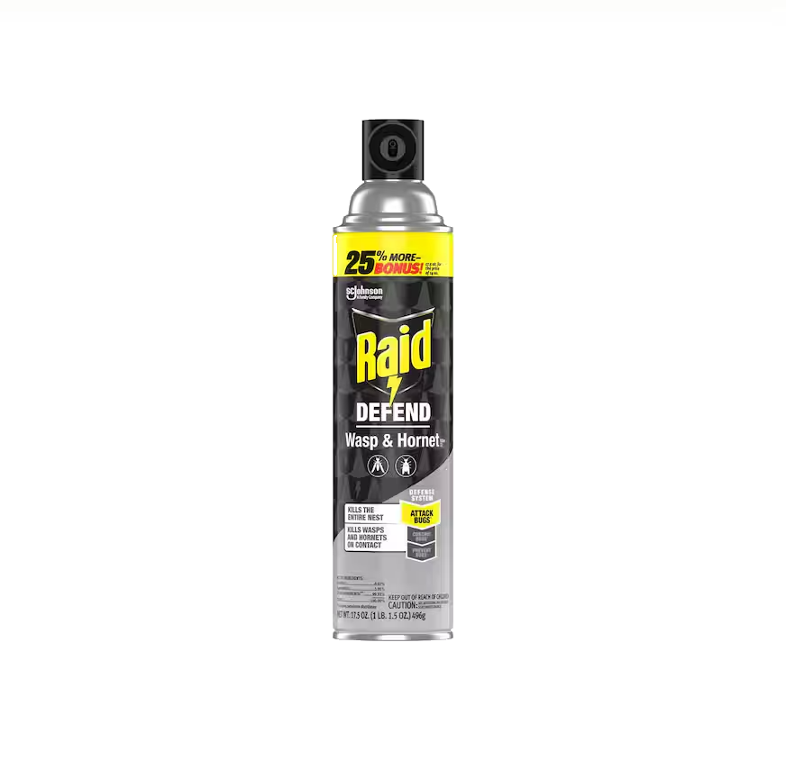 RAID- WASP &  HORNET 17.5OZ