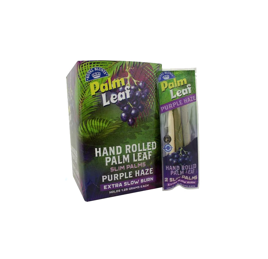 ROYAL B PALM LEAF2/24CTM PHAZE