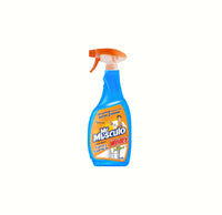 WINDEX-500ml- SPRAY -mr muscle