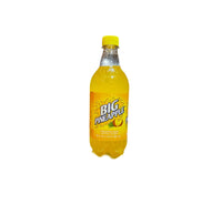 BIG PINEAPPLE  20oz-24CT