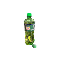 CANADA DRY GINGER ALE 20oz-24C