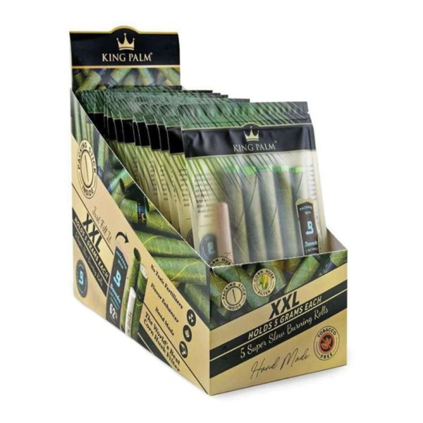KING PALM  CONE 10CT NATURAL